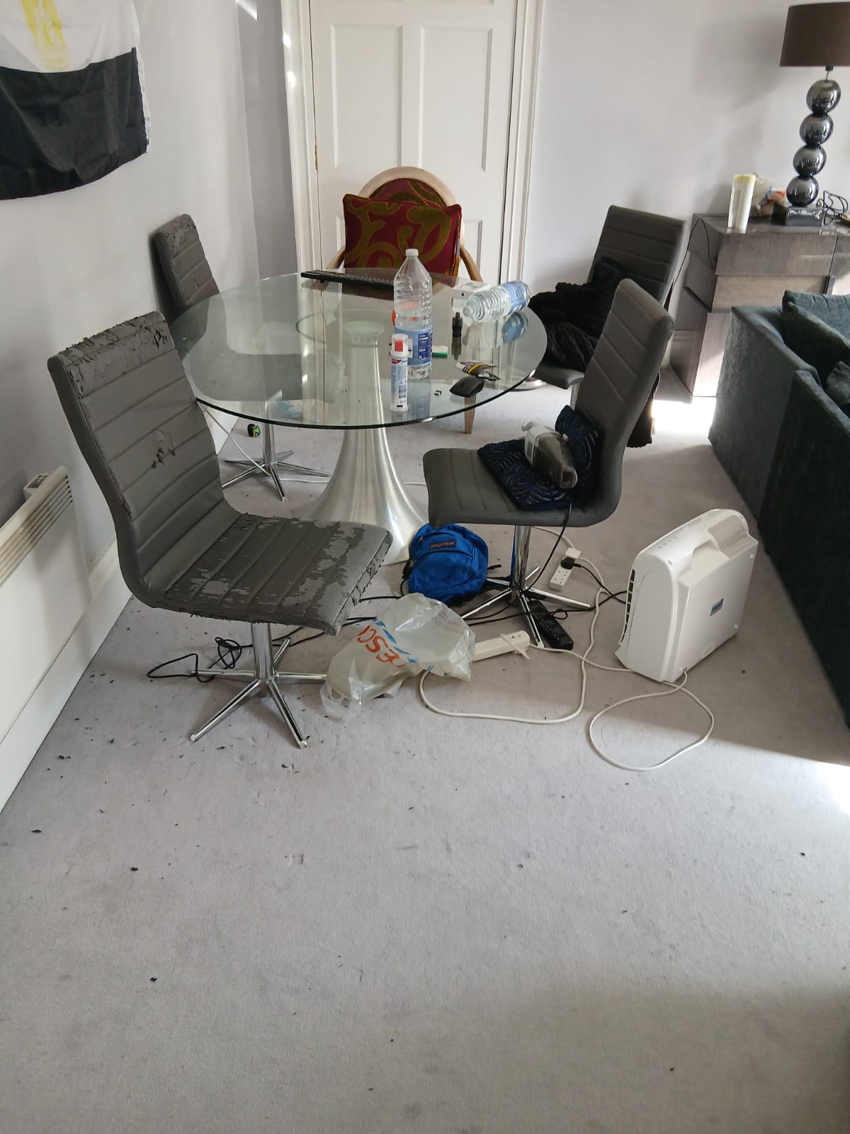Professional Cleaners